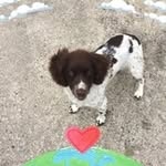 Pauline Morrison - @paulinemorrison7 - Instagram