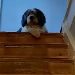 Pauline Pascoe - @pascoe.p - Instagram