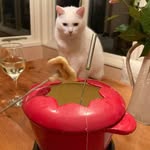 Pauline Pearson - @pauline.pearson.31508 - Instagram