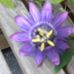 Pauline Pratt - Facebook