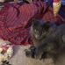 Pauline Randolph - Facebook