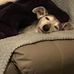 Pauline Rawlings - Facebook