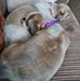 Pauline Rawlings - Facebook