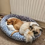 Pauline Rawlings - @rawlings2091 - Instagram
