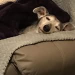 Pauline Rawlings - @pauline.rawlings.58 - Instagram
