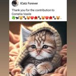 Pauline Roach - @pauline.roach.1428 - Instagram