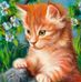 Pauline Roach - Facebook