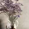 Paulinа Romans - @pauline_romans - TikTok