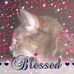 Pauline Rouse - Facebook