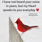 Pauline Ryan - Facebook