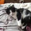 Pauline Singleton - @pauline.singleton86 - TikTok