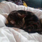 pauline - @paulinesteadman75 - Instagram