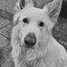 Pauline Wilkinson - Facebook
