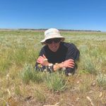 Pauline Wilkinson - @truenatureflora - Instagram