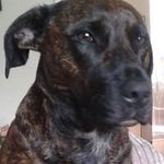Pauline Wilkinson - @spiceroo32 - Instagram