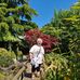 Pauline Wilkinson - Facebook