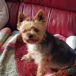 Pauline Wright - @paulinewright2820 - Instagram