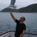 Paulo Abreu - @pauloabreu.oficial - Instagram