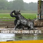 Paulo Afonso, Como Eu Vejo. - @pauloafonsocomoeuvejo - Instagram