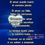paulo Barrera - @paulobarrera2010 - Instagram