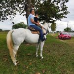 Paulo Braz - @paulobraz543 - Instagram