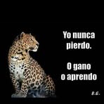 Paulo Chamorro - Facebook