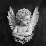 Paulo Neto - Facebook