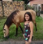 Paulo Neto - Facebook