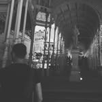 @pavle_tomic0 - Instagram