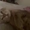 Moo Paw - @moo.paw8 - TikTok