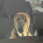 Paxton Boyer - @paxwyatt07 - Instagram
