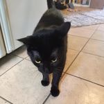 Paxton mitchell - @notpaxmoment2 - Instagram