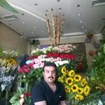 Payam Rad - @payam8405 - Instagram