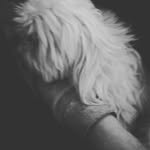 payten johnson - @ilovedogs452 - Instagram