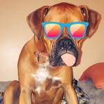 Payton “Pita” Boxer 👅 - @payton_boxer - Instagram