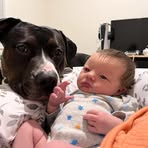 Payton Olson - Facebook
