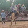 Payton Simon - @paytonsimon77 - TikTok