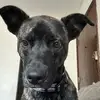 paytonsimon - @paytonsimon19 - TikTok