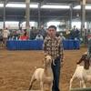 Payton Tharp - @goats_life_payton - TikTok