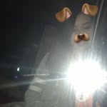 Aleka Payton Weaver - @alekapaytonw - Instagram