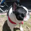 Paz Alvarez - @user10473954982010 - TikTok