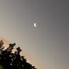 Paz Alvarez - @paz.alvarez41 - TikTok