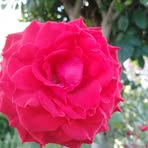 Paz Cano - Facebook