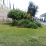 Paz Diaz - Facebook