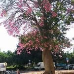 Paz Diaz Perez - @diazperezpaz - Instagram