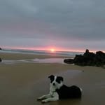 Paz Jiménez - @paz.jimenez.501151 - Instagram