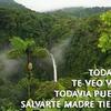 Mary Paz Monroy - @marypazmonroy - TikTok