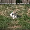 pdwhoward - @pdwhoward - TikTok