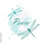 مطب زیبایی صلح - @peace_center_tehran - Instagram