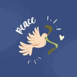 Peace Center - @peace._center - Instagram